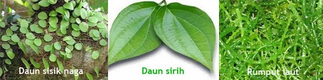 Herbal Crystal X Herbal Crystal X