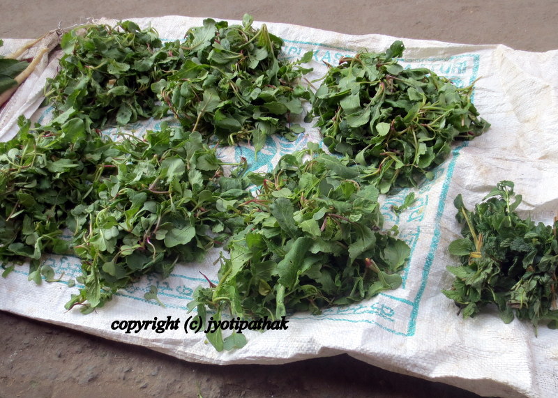 Taste of Nepal Green Leafy Vegetables सागपात हरु (Part 3)