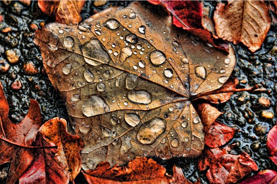 After the rain After the rain