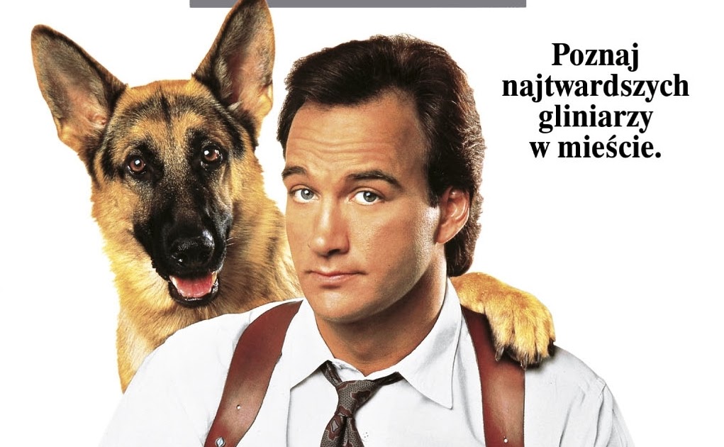 KÖPEK SEVER MİSİNİZ? K9 ve Lassie Hakkında Yanlış Bilinenler