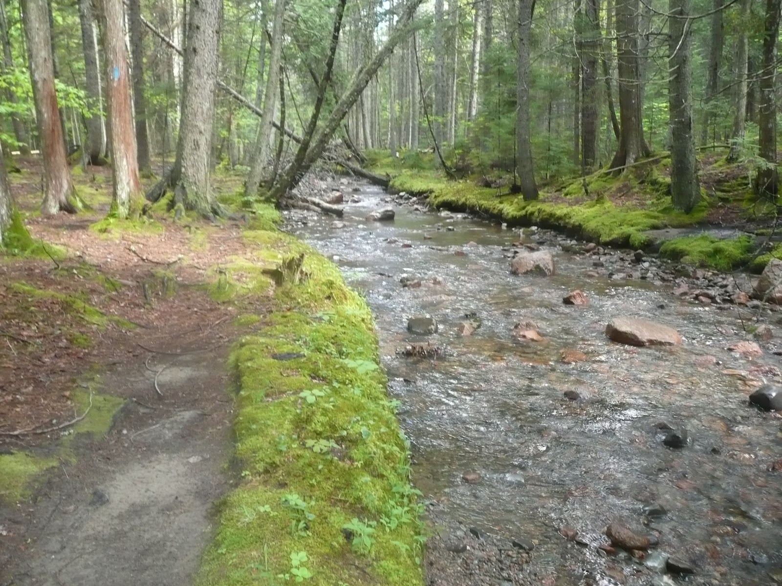 Tips from Chip Hike The Triad, Day Mountain, Hunters Beach (Hunters