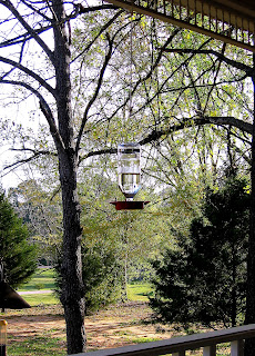 homemade whitfield country feeder hummer porch hanging