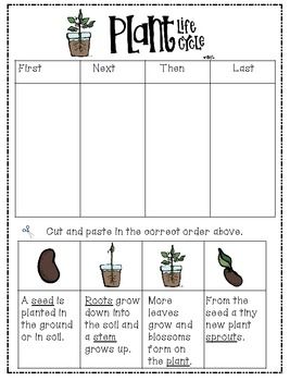 Printables Life Cycle Of A Plant Worksheet plant life cycle worksheet 3rd grade hypeelite test science worksheets free