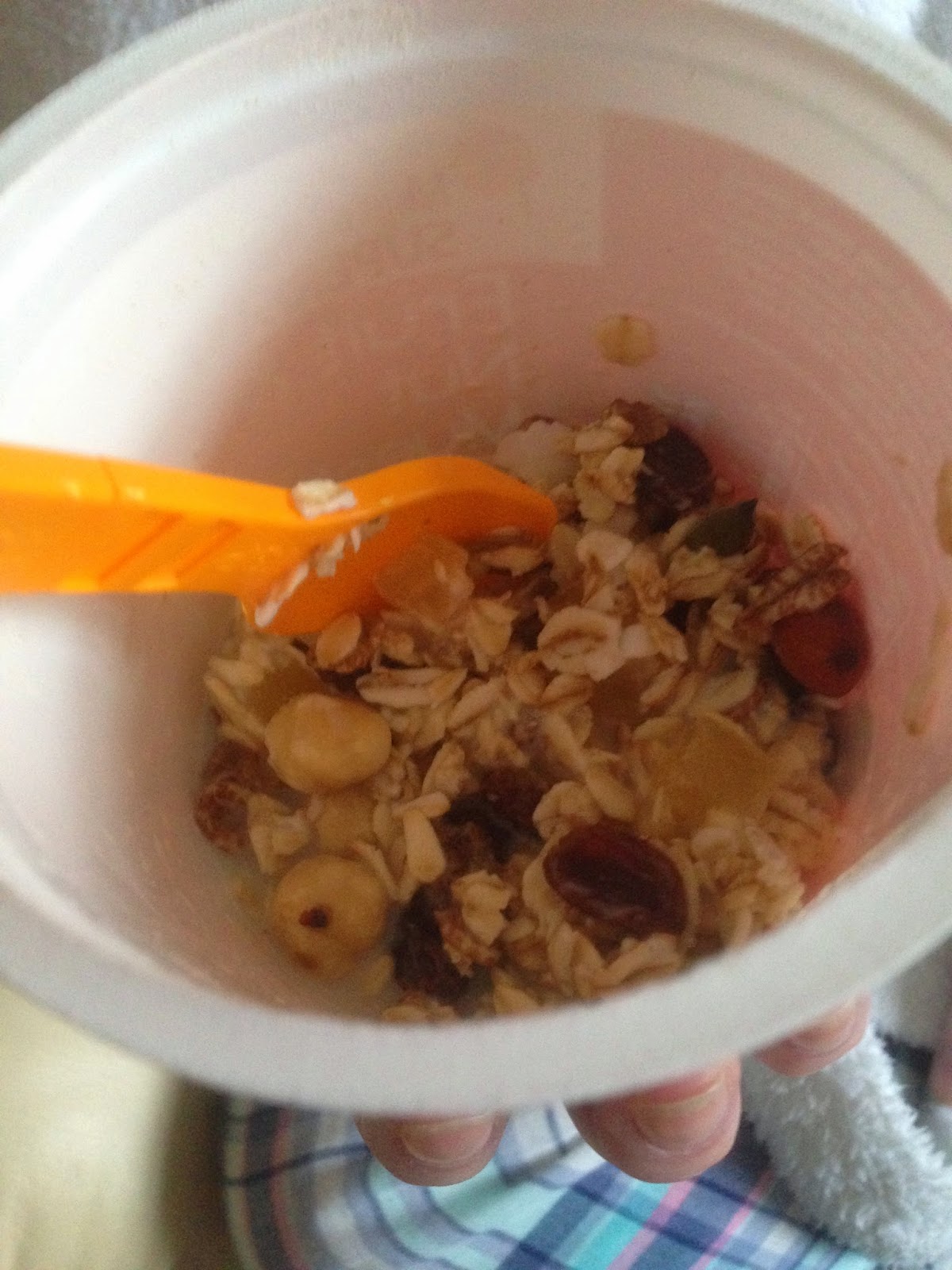 Serendipity Says Mornflake Superfast Fruit & Nut Muesli Pot Review