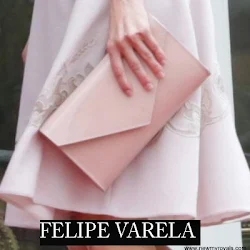Queen Letizia Style FELIPE VARELA Bag and HUGO BOSS Dress