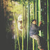 #SiarSiar : Alive 3D Art Gallery, Port Dickson 13/12