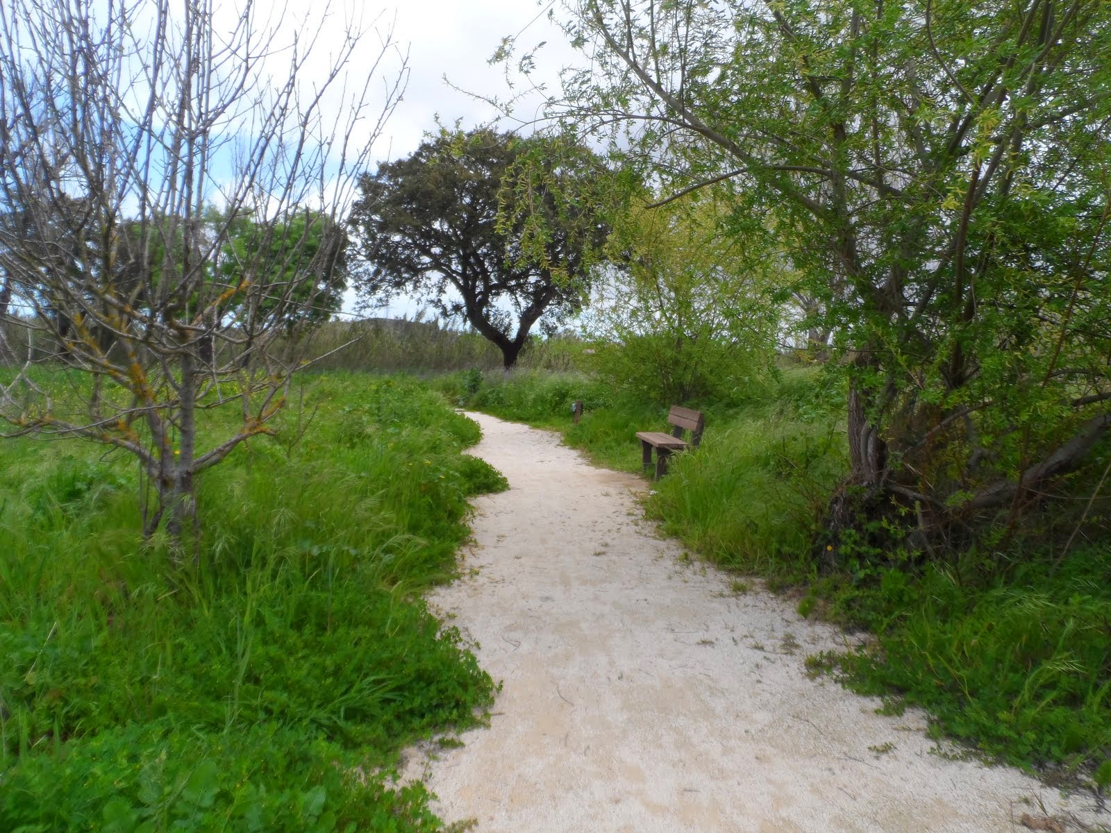 O Conde da Quinta Parque da Ribeira Quinta do Conde