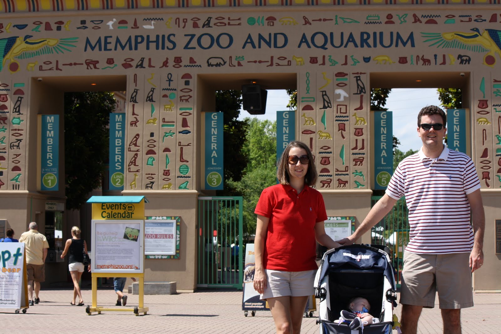 Memphis Zoo A Day in Memphis