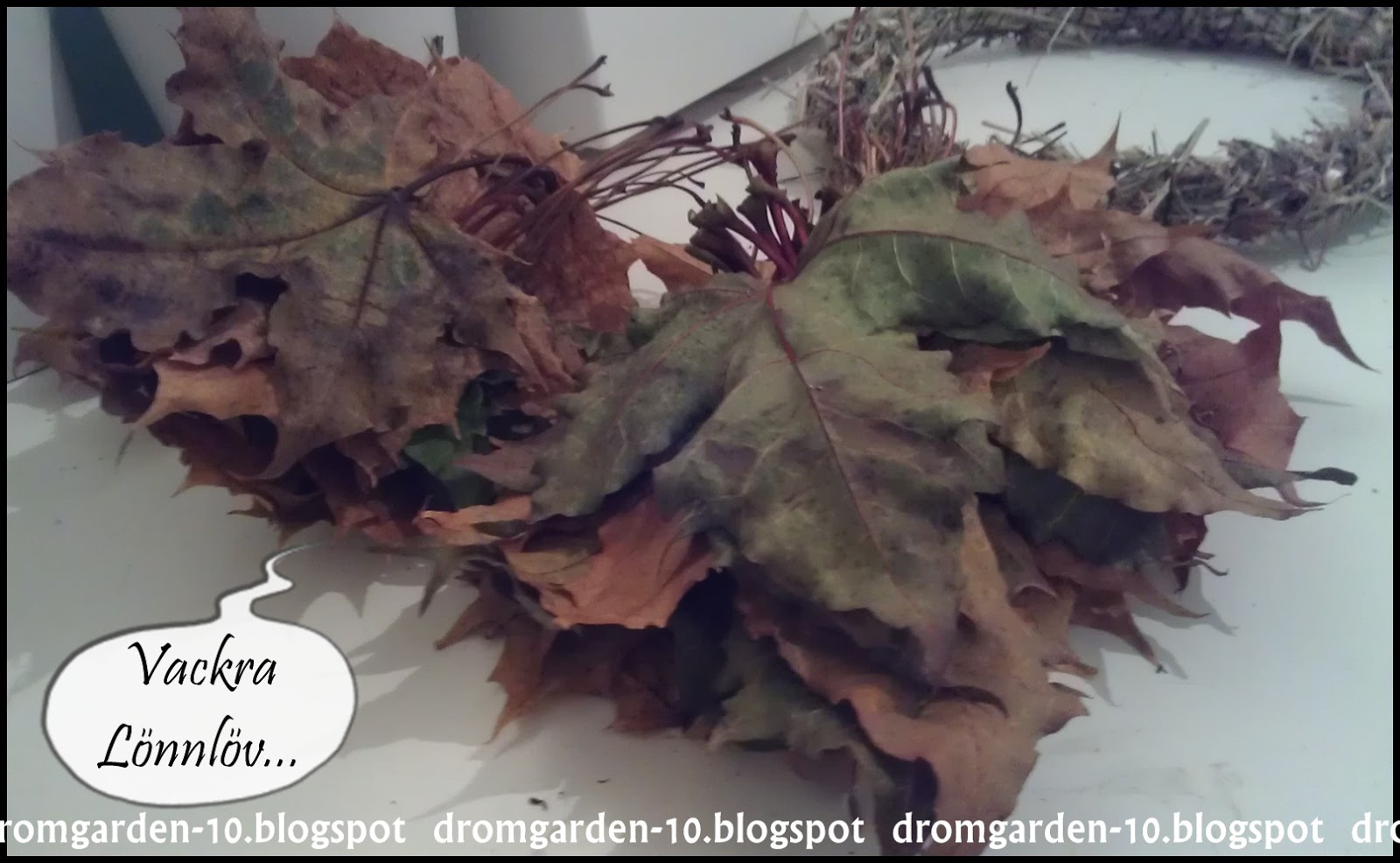Drömgården: oktober 2012