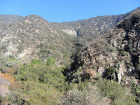 View north on Fish Canyon Trail toward the rugged canyon walls, Angeles National Forest View north on Fish Canyon Trail toward the rugged canyon walls, Angeles National Forest