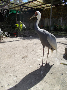 "World of Birds" in Cape Town.