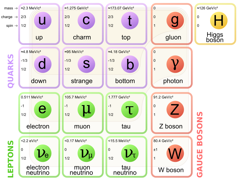 The particles that make up all of our known matter (and energy). The stuff that makes you (and almost all of our known universe) is in the first and 4th column. I'm still on the fence about the Higgs. It doesn't look quite right in this graph, does it? Kind of like it's a bit of a mistake? Or maybe because it really is acondensate of top quarks? Source: Wikimedia