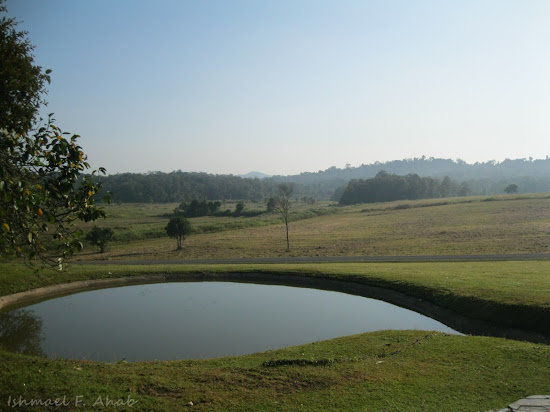 View from Queen's Palace, Phukhieo Wildlife Sanctuary
