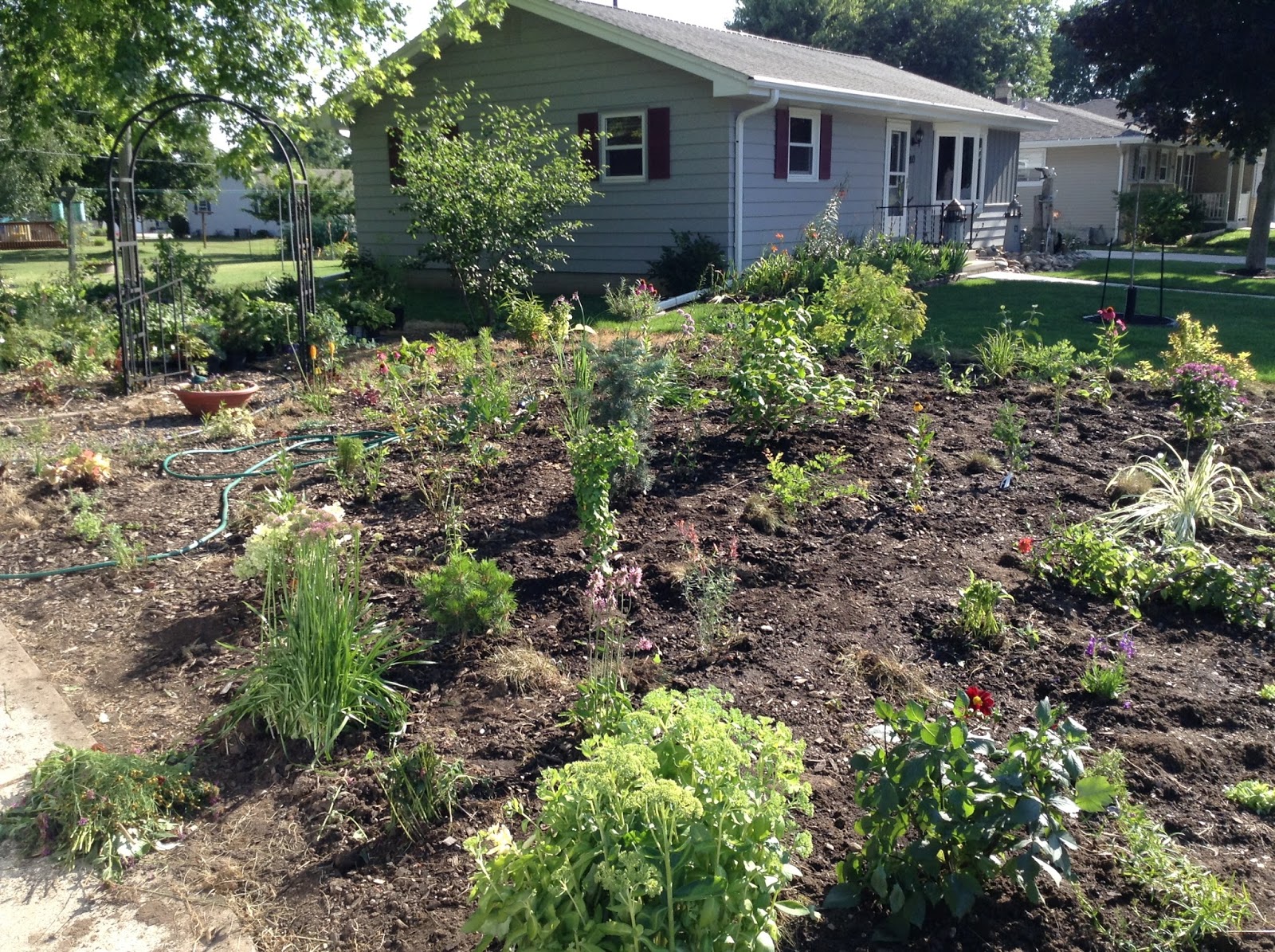 Future Plants By Randy Stewart Weigela