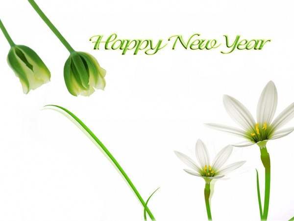 new+year+2012+3 new+year+2012+3