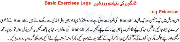 Bodybuilding Exercises In Urdu
