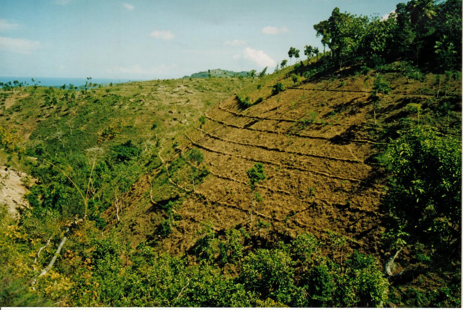 PASSIONS SUD HAÏTI CHERIE ! DES PAYSAGES MAGNIFIQUES