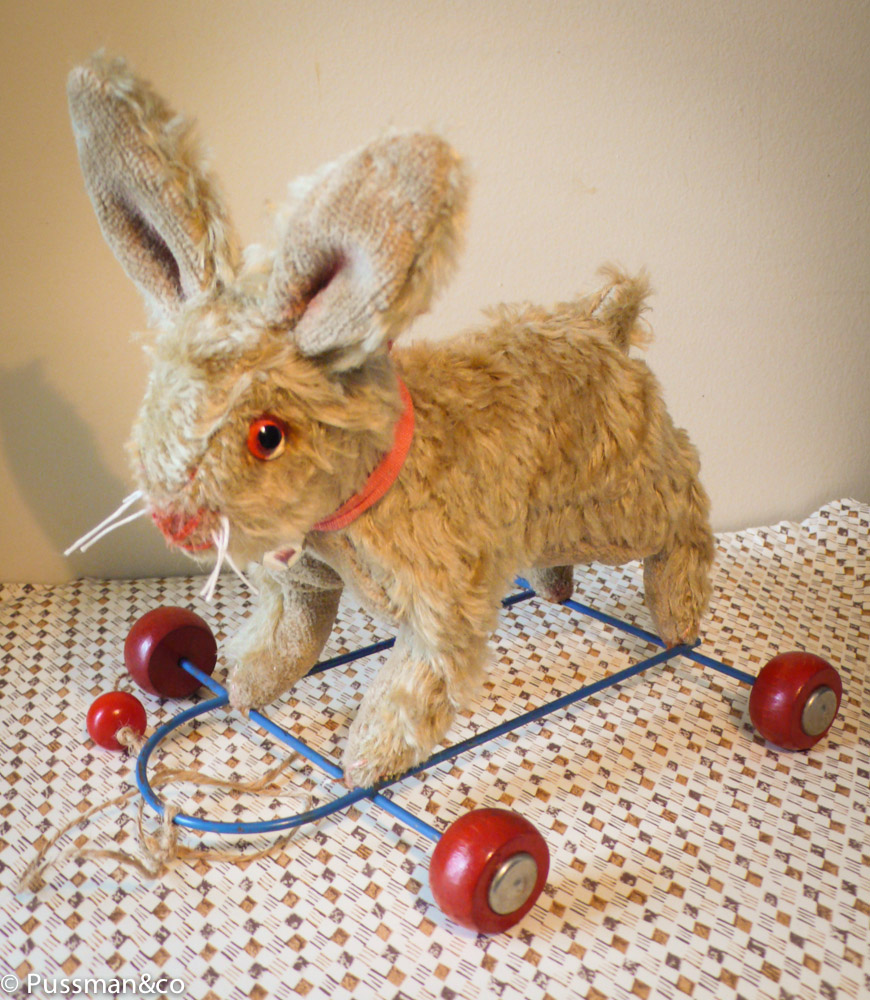 PUSSMANSTUFFIES ETC... Alfred (adopted) the bunny on wheels