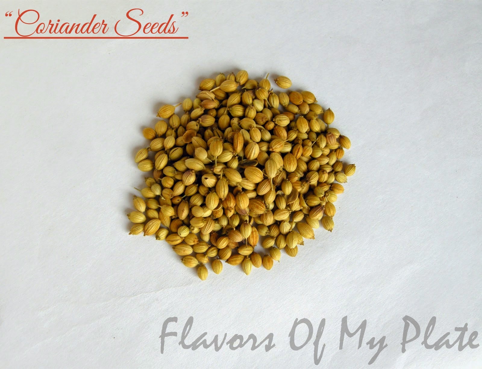 Flavors Of My Plate Indian Spices.....The Heart Of Any Indian Dish