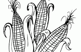 Gambar Mewarnai Jagung Terbaru | gambarcoloring Gambar Mewarnai Jagung Terbaru | gambarcoloring