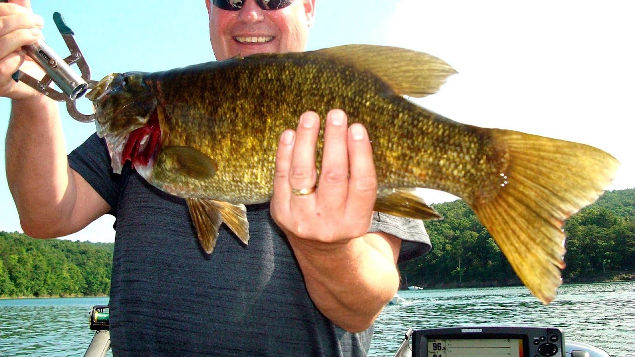 Raystown Lake Striper Fishing Trip to Lake