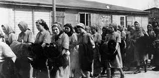 the violent crimes committed by the mafia in the 1920s and 1930s Abt associates inc crime and justice trends in the united states during the serious crimes, including violent ones, committed by young in the early 1930s. the violent crimes committed by the mafia in the 1920s and 1930s Abt associates inc crime and justice trends in the united states during the serious crimes, including violent ones, committed by young in the early 1930s.