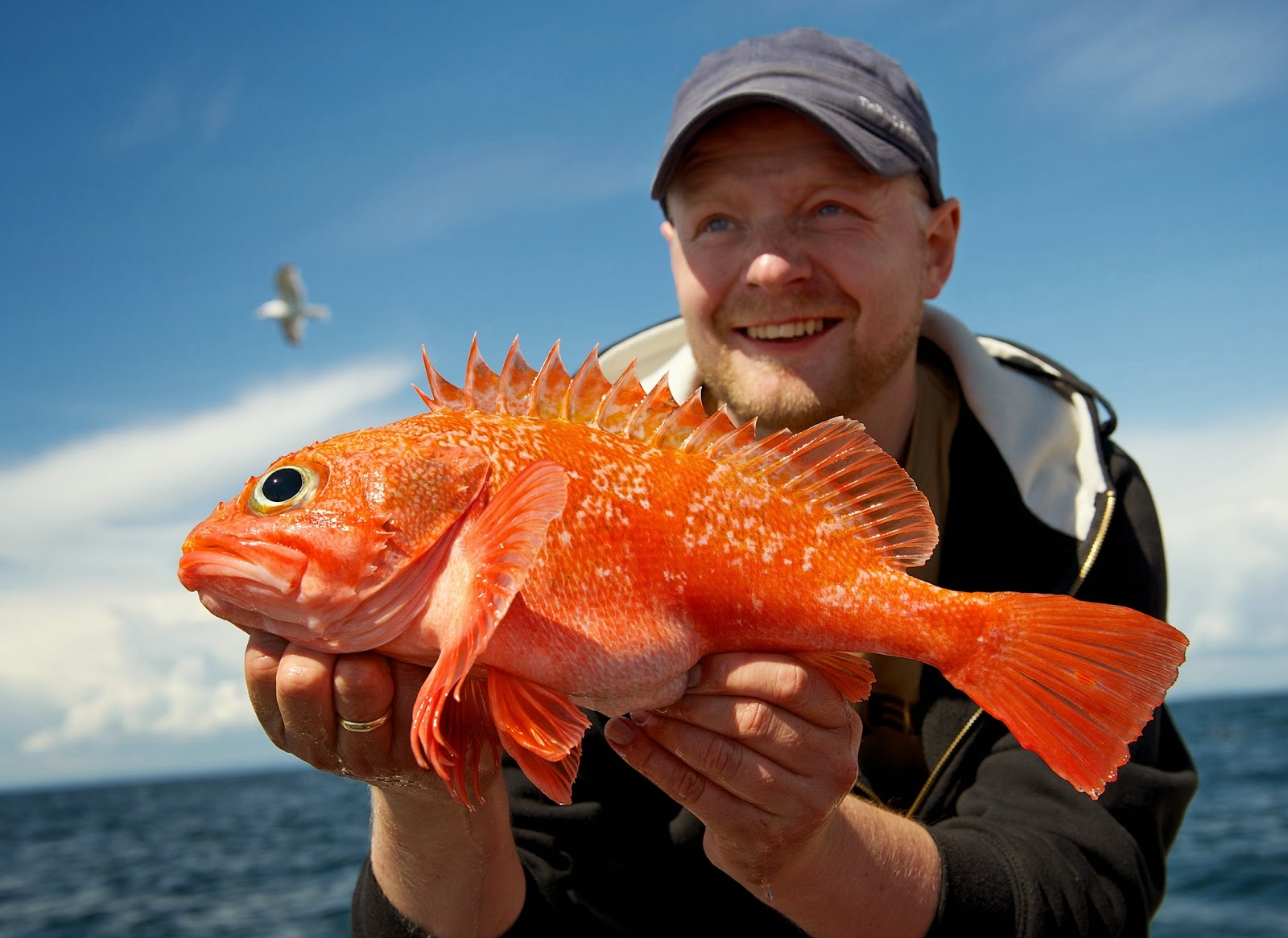 Langesund-Teaser-23.jpg