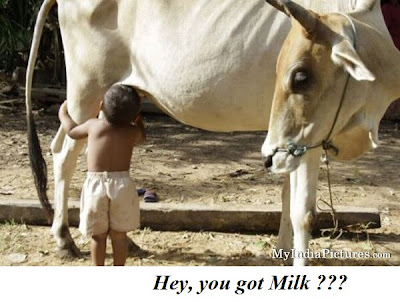funny pictures of children images
