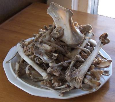 Taking Back Our Food