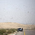 Israel Diserang Belalang Mesir (7 Gambar + Video)