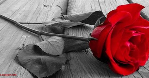 Poeme Amour Poesie Et Citations 2021 Sms Pour Dire Tu Me Plait