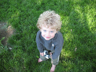 exploring in the backyard