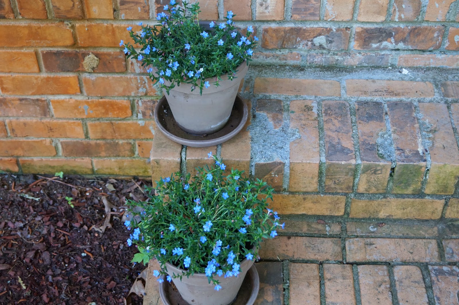 Don't Disturb This Groove Cleaning Out the Flower Bed