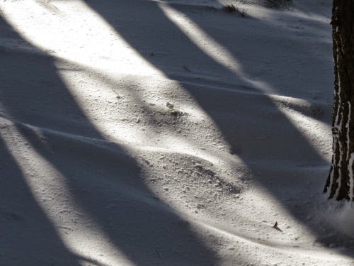 shadows on snow