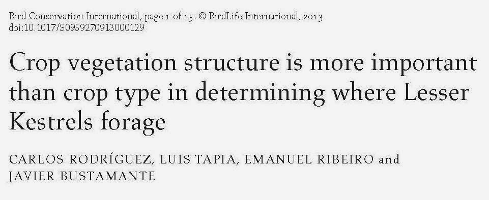 http://journals.cambridge.org/download.php?file=%2F464_02E8C68E712BA18A71DD4172B942EC9F_journals__BCI_S0959270913000129a.pdf&cover=Y&code=9b9170beb5d251e1d298f403f4d38dc7