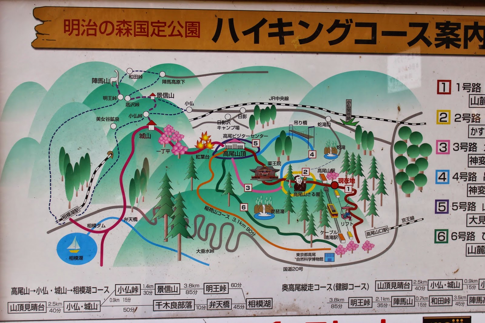 Havens Family Adventures (formerly Adventures in Japan) Koyo on Mt. Takao