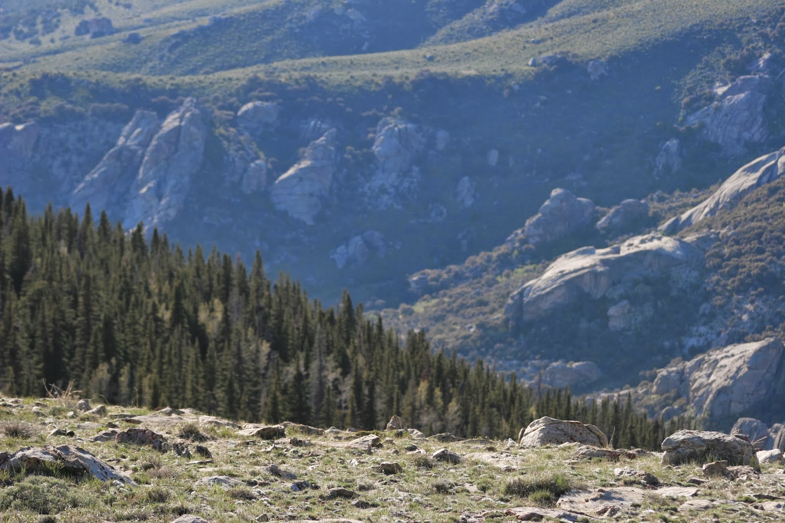 Great Basin Ute Grouse Creek Mountains, NW Utah