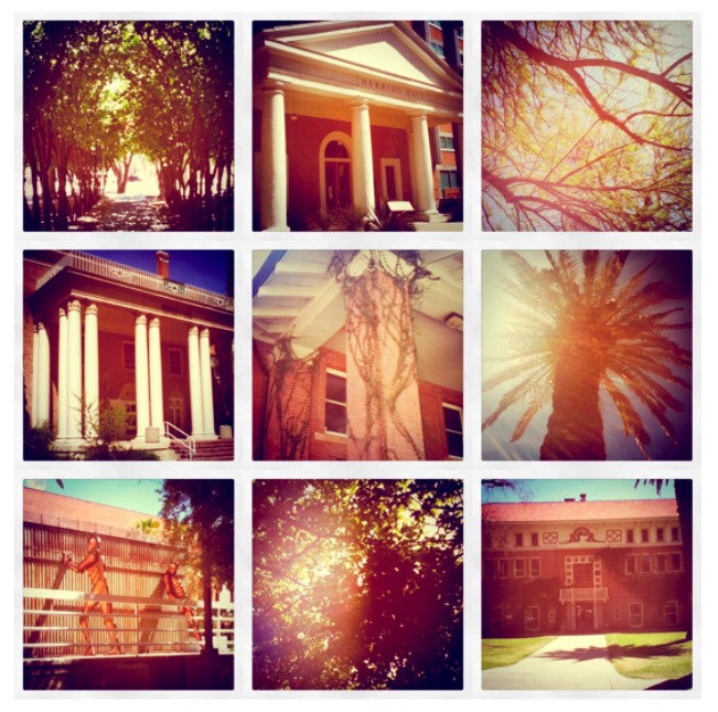 of Arizona campus is. university of arizona campus. of Arizona campus is.