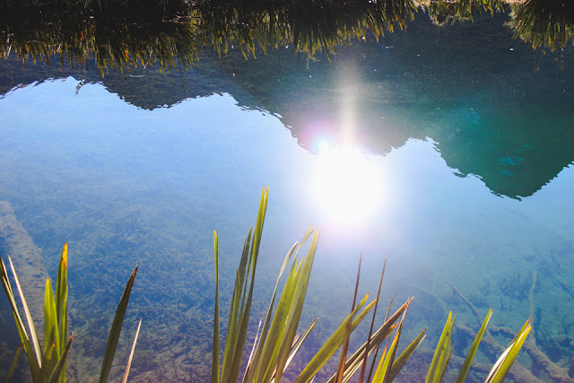 Mirror Lakes | the road to Milford Sound, Fiordland, New Zealand
