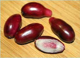 Gambar Buah Jamblang Sepat Masam Gambar Buah Jamblang Sepat Masam