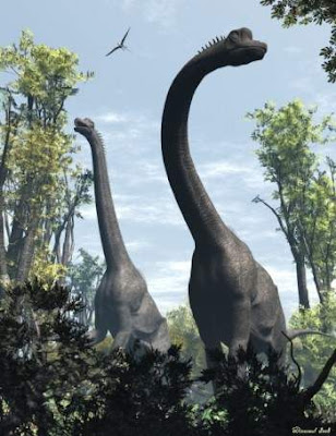 Giraffatitan brancai Giraffatitan brancai