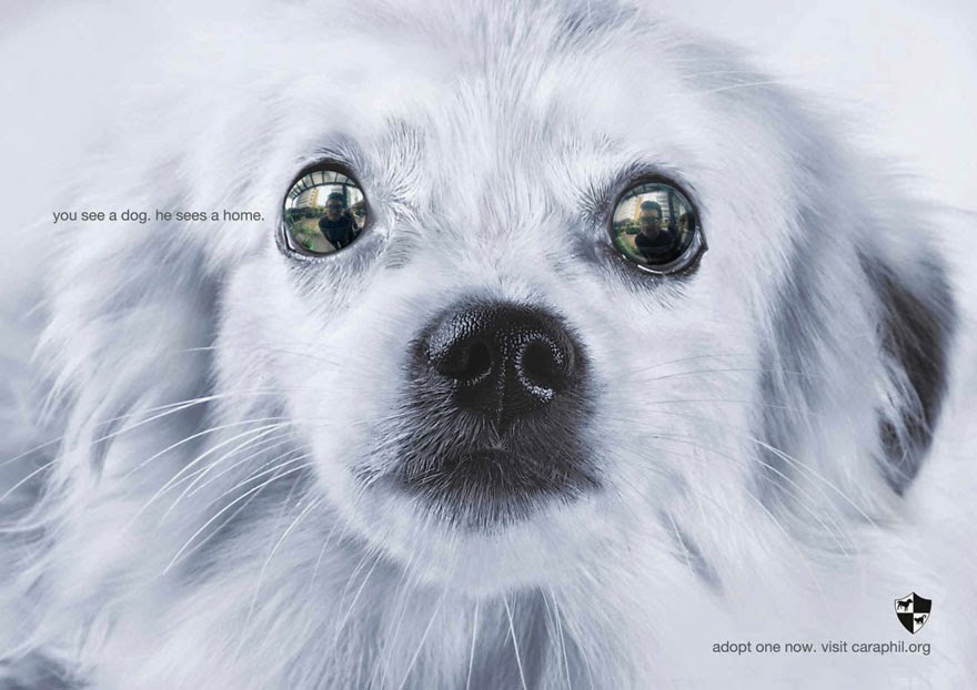 You See A Dog. He Sees A Home - 33 Powerful Animal Ad Campaigns That Tell The Uncomfortable Truth You See A Dog. He Sees A Home - 33 Powerful Animal Ad Campaigns That Tell The Uncomfortable Truth