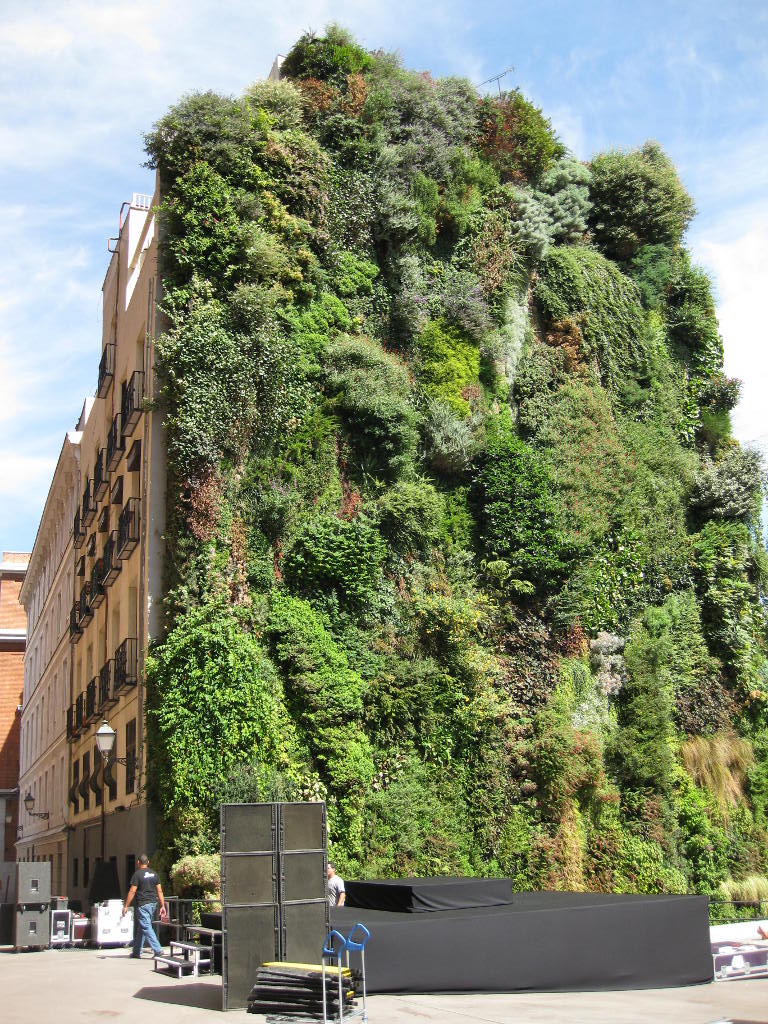 bensozia patrick blanc s vertical gardens bensozia patrick blanc s vertical gardens