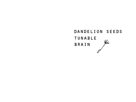 dandelion seeds tunable brain