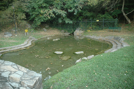 12. Water pool below spring. Fountain City Park