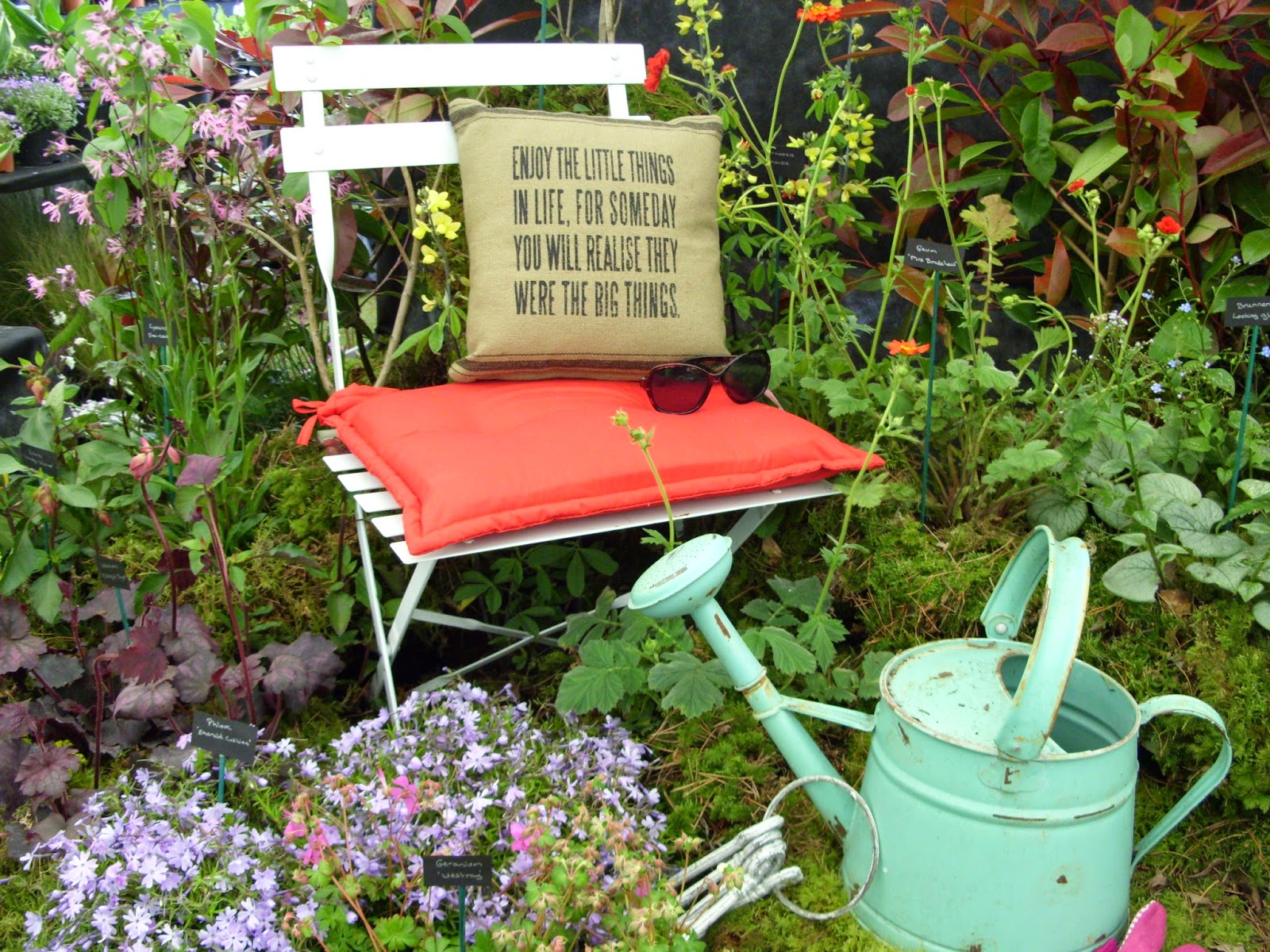 Kelli's Northern Ireland Garden Garden Show Ireland Photos (2)