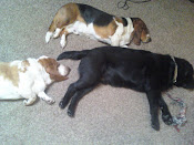 All 3 of our boys...napping
