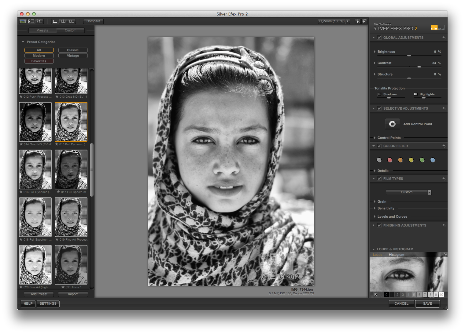 silver efex pro silver efex pro