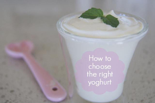 DSC09495+copy - How To Choose The Best Yoghurt For Your Family's Health
