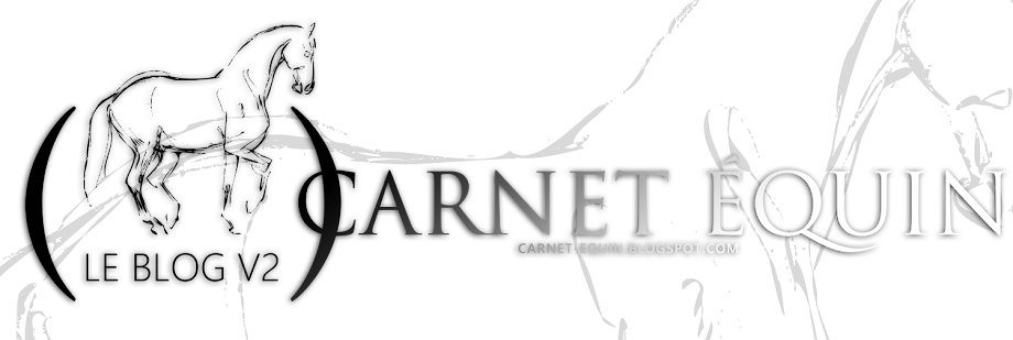 Carnet | équin